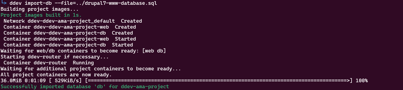 ddev ama-project created